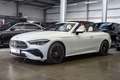 Mercedes-Benz CLE 220 d AMG Line  / Advanced + / Leder Beige Weiß - thumbnail 16