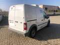Ford Transit Connect 1.8 tdci 110cv ISO Thermoking Bianco - thumbnail 2