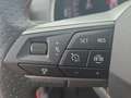 SEAT Ibiza 1.0TSI FR Pro-Black-Edition LED AHK Navi A Rouge - thumbnail 23