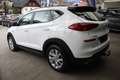Hyundai TUCSON Tucson 1,6 CRDI 4WD N-Line DCT Aut. Weiß - thumbnail 9