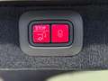 Aston Martin DBX 4.0 AWD Aut. Verde - thumbnail 16