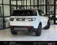 Land Rover Discovery Sport 4WD |NAVI|LEDER|PANO|KAMERA|20"Z Wit - thumbnail 4