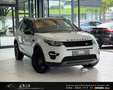 Land Rover Discovery Sport 4WD |NAVI|LEDER|PANO|KAMERA|20"Z Wit - thumbnail 3