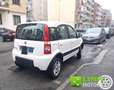 Fiat Panda 1.3 MJT 16V DPF 4x4 Climbing CON SOLI 78 MILA KM Bianco - thumbnail 14