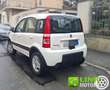 Fiat Panda 1.3 MJT 16V DPF 4x4 Climbing CON SOLI 78 MILA KM Bianco - thumbnail 5