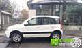 Fiat Panda 1.3 MJT 16V DPF 4x4 Climbing CON SOLI 78 MILA KM Bianco - thumbnail 1