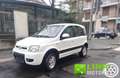 Fiat Panda 1.3 MJT 16V DPF 4x4 Climbing CON SOLI 78 MILA KM Bianco - thumbnail 2