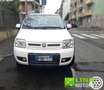 Fiat Panda 1.3 MJT 16V DPF 4x4 Climbing CON SOLI 78 MILA KM Bianco - thumbnail 12