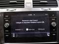 Volkswagen Golf Golf 5p 1.6 tdi Business 115cv dsg Gris - thumbnail 11