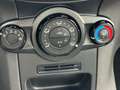 Ford Fiesta 3p 1.4 16v + Gpl c/esp E5 Gris - thumbnail 11