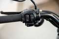 Harley-Davidson Iron 883 5HD* Zwart - thumbnail 6