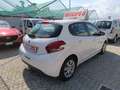 Peugeot 208 BlueHDi 75 5 porte Active Blanc - thumbnail 4