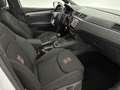 SEAT Ibiza 1.0 TSI FR Pano Beats Camera Carplay Clima Cruise Weiß - thumbnail 37