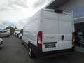 Fiat Ducato Maxi 35 L4H2 140 Navi Netto 24.000.- Weiß - thumbnail 7