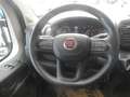 Fiat Ducato Maxi 35 L4H2 140 Navi Netto 24.000.- Weiß - thumbnail 12