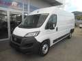 Fiat Ducato Maxi 35 L4H2 140 Navi Netto 24.000.- Weiß - thumbnail 1