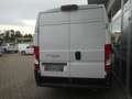 Fiat Ducato Maxi 35 L4H2 140 Navi Netto 24.000.- Weiß - thumbnail 22