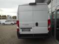 Fiat Ducato Maxi 35 L4H2 140 Navi Netto 24.000.- Weiß - thumbnail 21