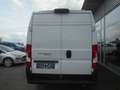 Fiat Ducato Maxi 35 L4H2 140 Navi Netto 24.000.- Weiß - thumbnail 6