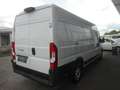 Fiat Ducato Maxi 35 L4H2 140 Navi Netto 24.000.- Weiß - thumbnail 5