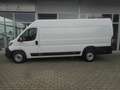 Fiat Ducato Maxi 35 L4H2 140 Navi Netto 24.000.- Weiß - thumbnail 20