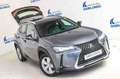 Lexus UX 250h 2.0 Business Gris - thumbnail 19