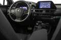 Lexus UX 250h 2.0 Business Gris - thumbnail 31