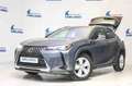 Lexus UX 250h 2.0 Business Gris - thumbnail 15