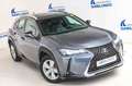 Lexus UX 250h 2.0 Business Gris - thumbnail 12