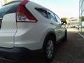 Honda CR-V 1.6 i-DTEC Comfort 2WD Wit - thumbnail 7