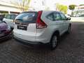 Honda CR-V 1.6 i-DTEC Comfort 2WD Wit - thumbnail 5