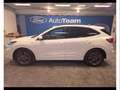 Ford Kuga 2.5 full hybrid st-line x 2wd 190cv cvt Blanc - thumbnail 3
