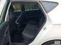 SEAT Leon FR 1.5 TSI LED~PANORAMA~NAVI~TEMPOMAT~ White - thumbnail 15