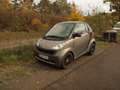 smart forTwo smart fortwo coupe softouch passion micro hybrid Bronze - thumbnail 8