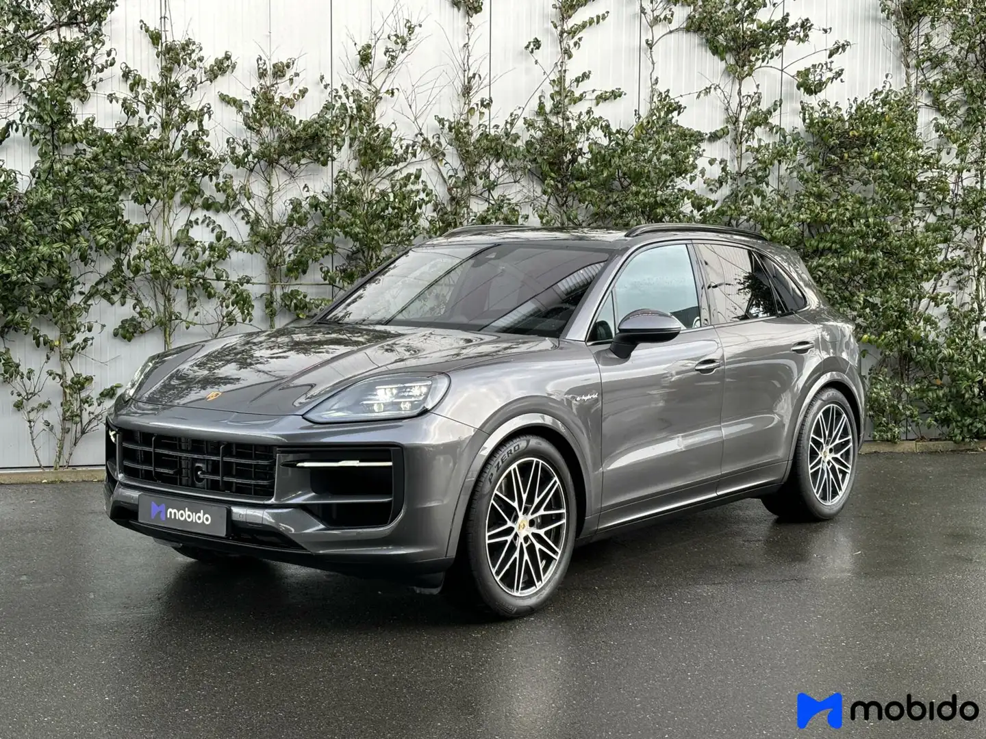 Porsche Cayenne 3.0 E-Hybrid | 18-voudige stoelen | Panoramadak Gris - 1