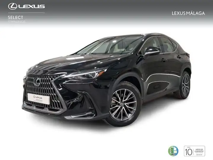Lexus NX 2025
