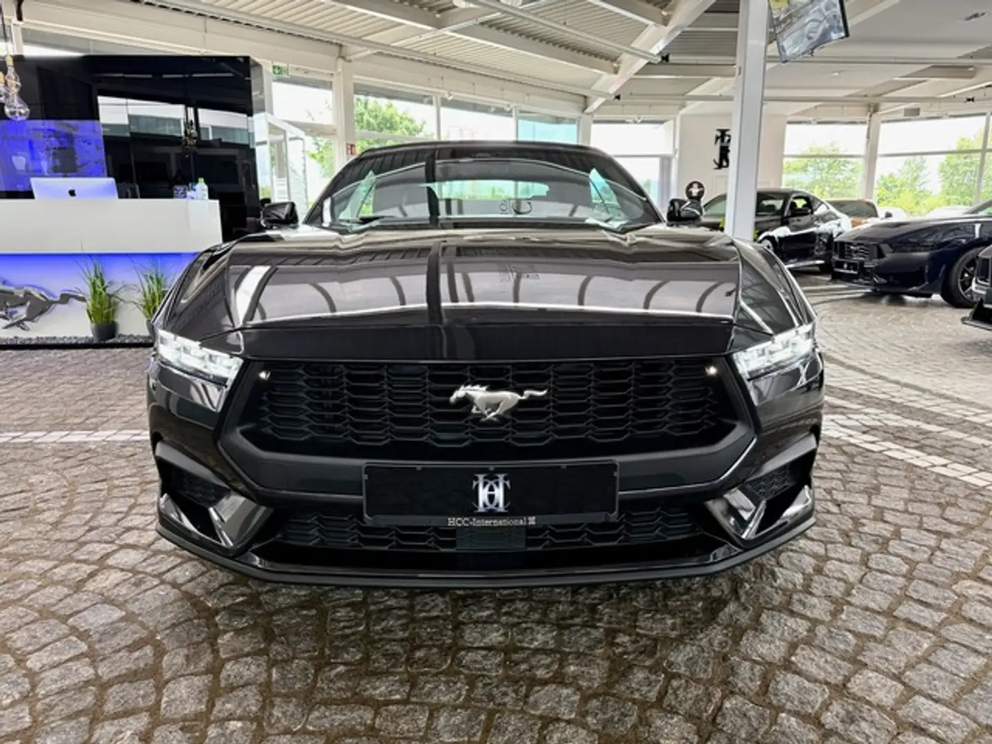 Ford Mustang 2,3 EcoBoost Cabrio Autom. + Garantie Grau - 2