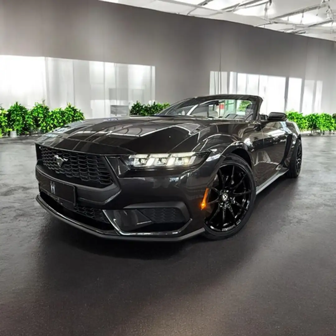 Ford Mustang 2,3 EcoBoost Cabrio Autom. + Garantie Gris - 1