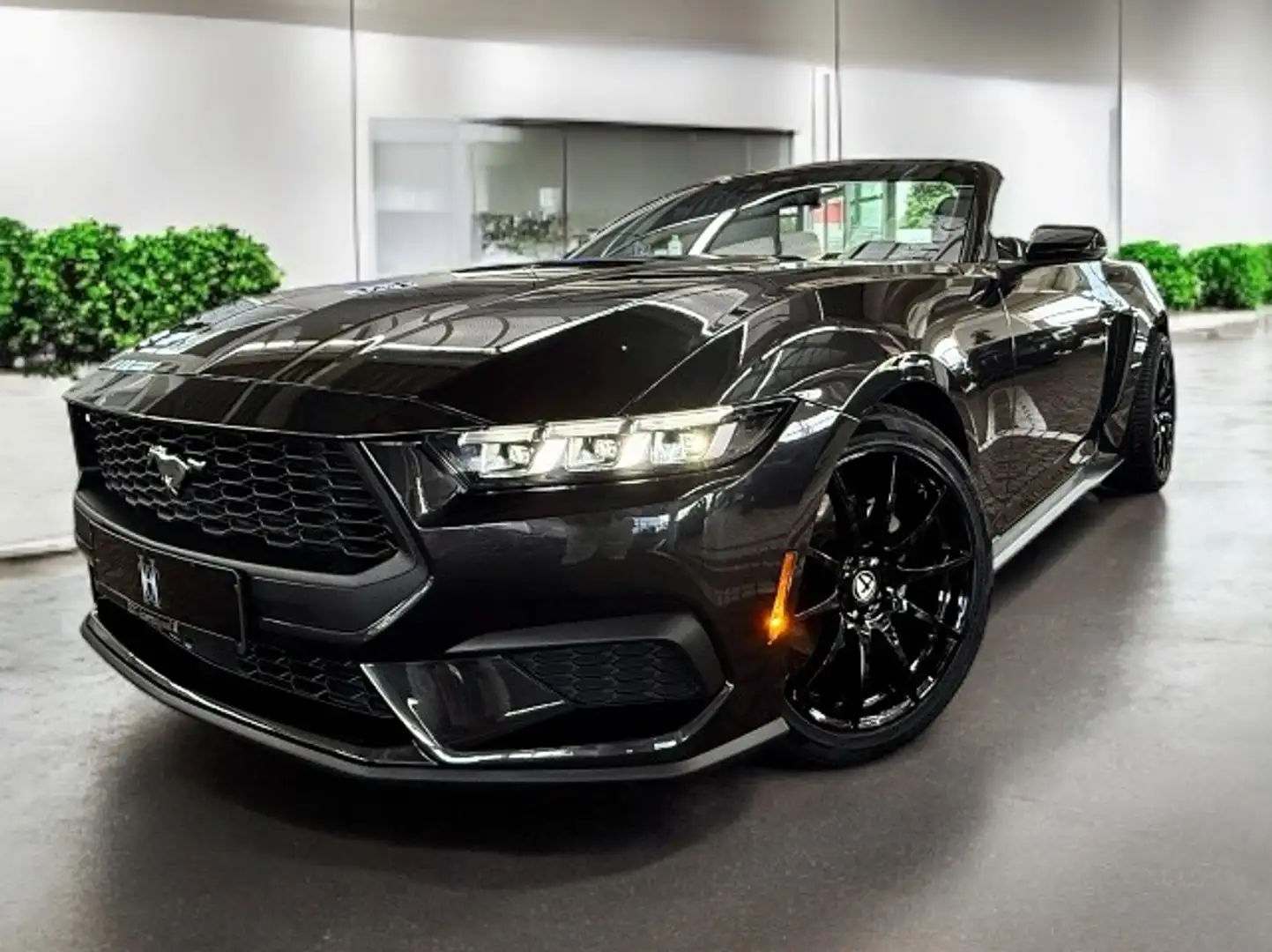 Ford Mustang 2,3 EcoBoost Cabrio Autom. + Garantie Grau - 1