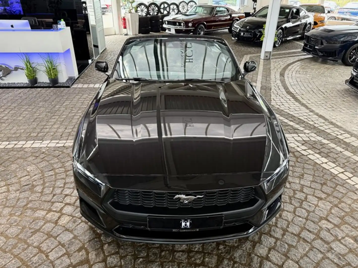 Ford Mustang 2,3 EcoBoost Cabrio Autom. + Garantie Gris - 2