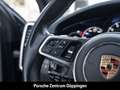 Porsche Cayenne Platinum Edition Standheizung 21-Zoll Schwarz - thumbnail 24