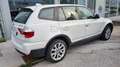 BMW X3 xDrive20d Solo COMMERCIANTI Bianco - thumbnail 3