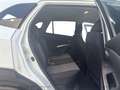 Suzuki S-Cross 1.4 HYBRID ALLGRIP shine Weiß - thumbnail 19