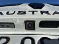 Renault Austral 1.2 E-Tech full hybrid Techno 200cv auto Bianco - thumbnail 13