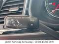 SEAT Leon 2.0 TDI Style/AHK/SHZ/NAVI/PDC/TEMP./EU5 Schwarz - thumbnail 15
