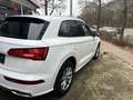 Audi Q5 quattro Weiß - thumbnail 5