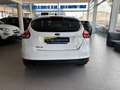 Ford Focus 1.0 EcoB. ST-Line Black&Red Ed. 125 Blanco - thumbnail 4