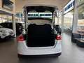 Ford Focus 1.0 EcoB. ST-Line Black&Red Ed. 125 Blanco - thumbnail 5