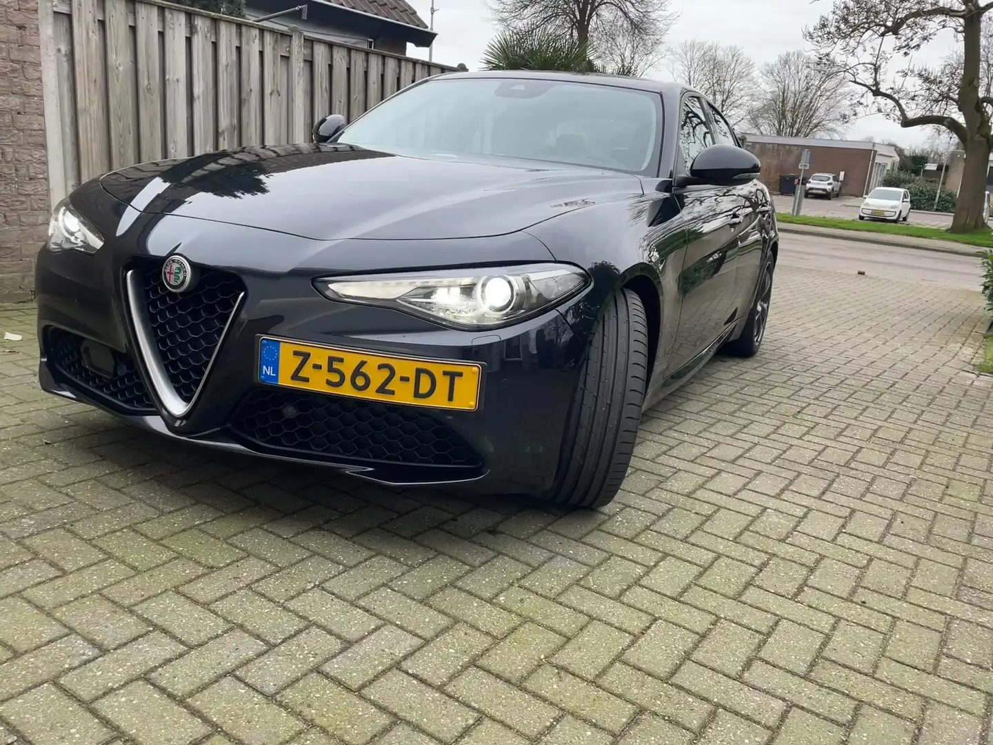 Alfa Romeo Giulia Giulia 2.0T Sprint Zwart - 2