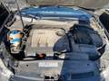 Volkswagen Golf VI Lim. 1.6 TDI Match Schwarz - thumbnail 7